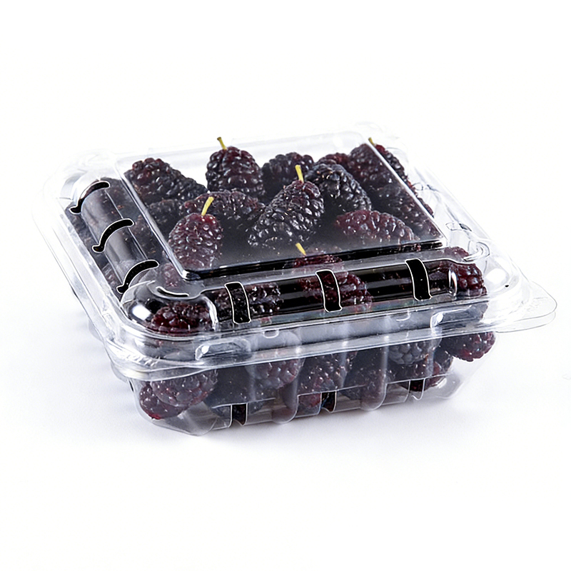 Wholesale Mulberry Plastic Packaging Clamshell