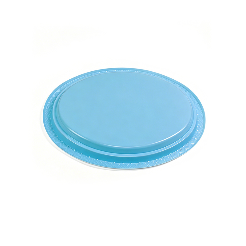 High Quality Disposable Plastic Blister Plate