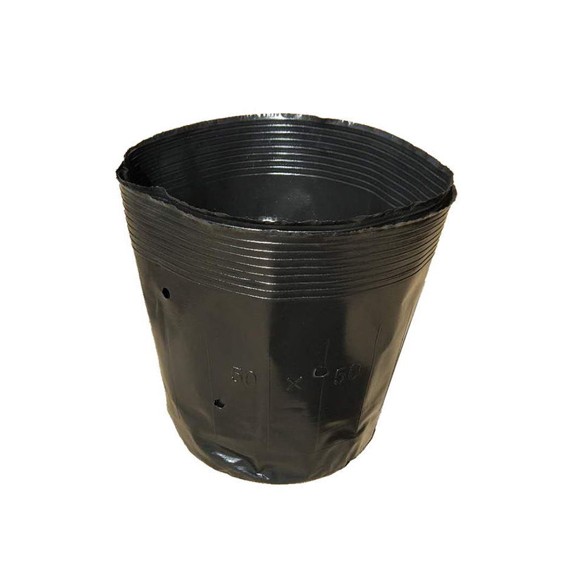 Custom Plastic Plant Pot with Blister Tray