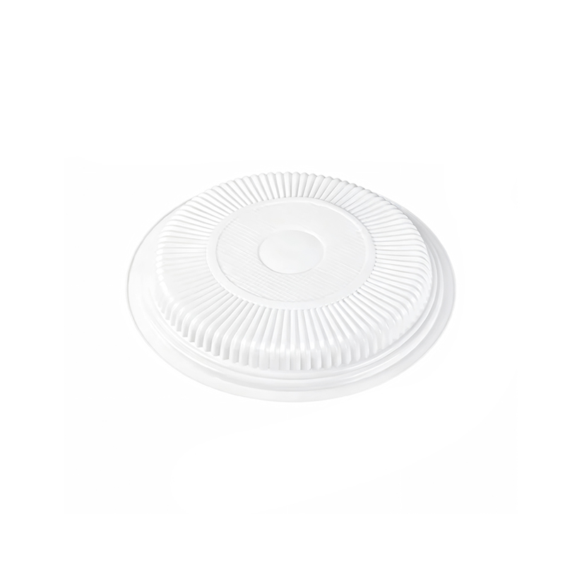 Clear Plastic Picnic Plate