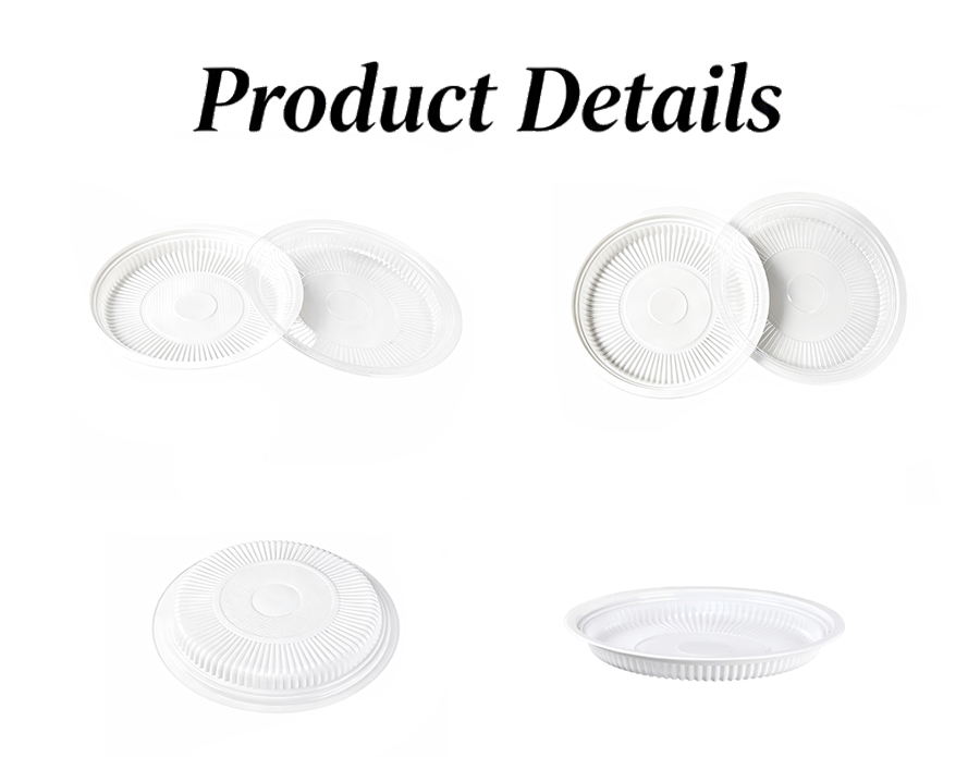 Clear Plastic Picnic Plate