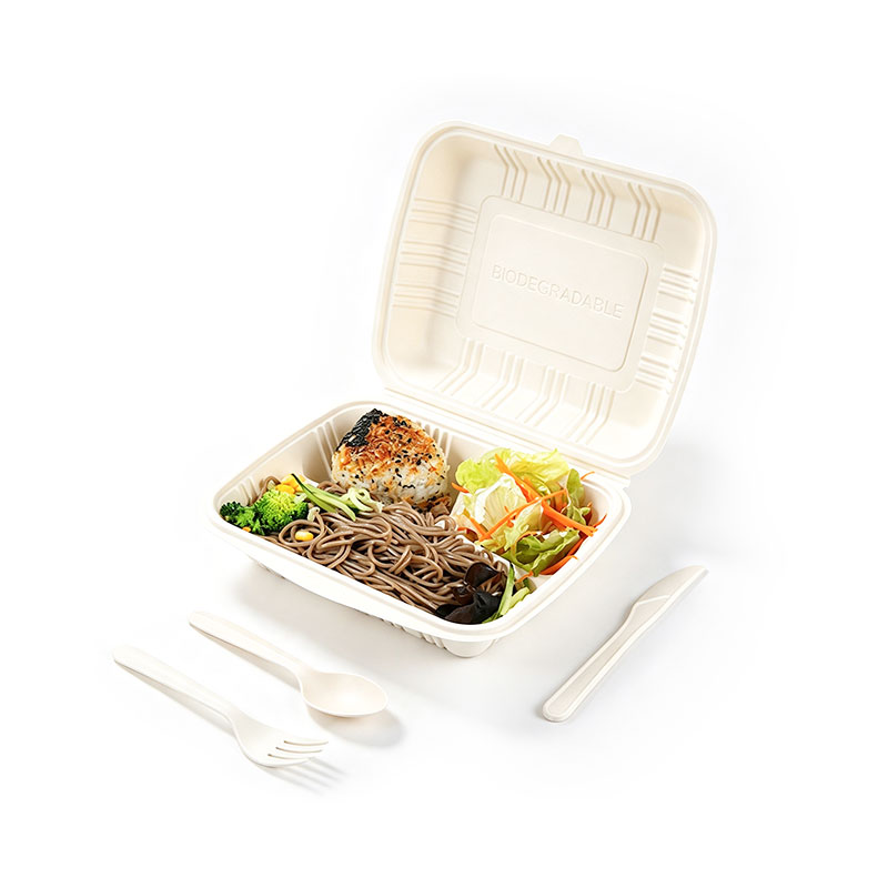 3 Compartment Railway Bento Box