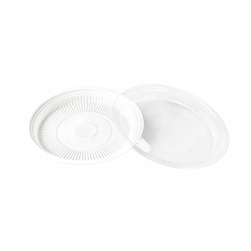 Clear Plastic Picnic Plate