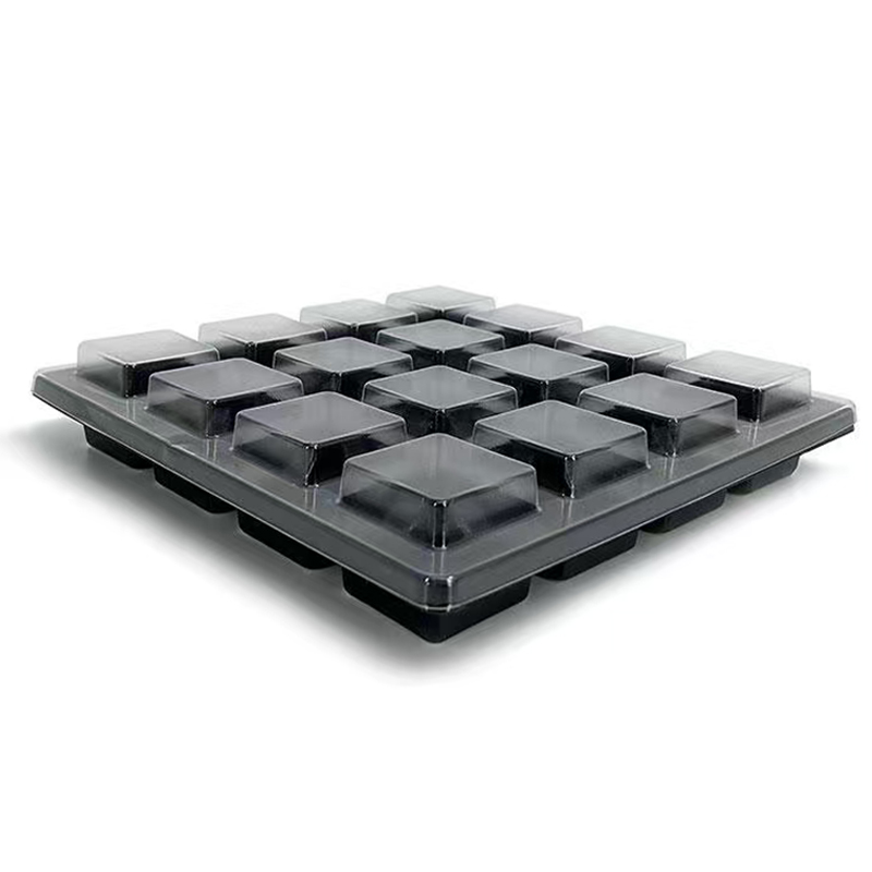 Wholesale Blister Chocolate Trays