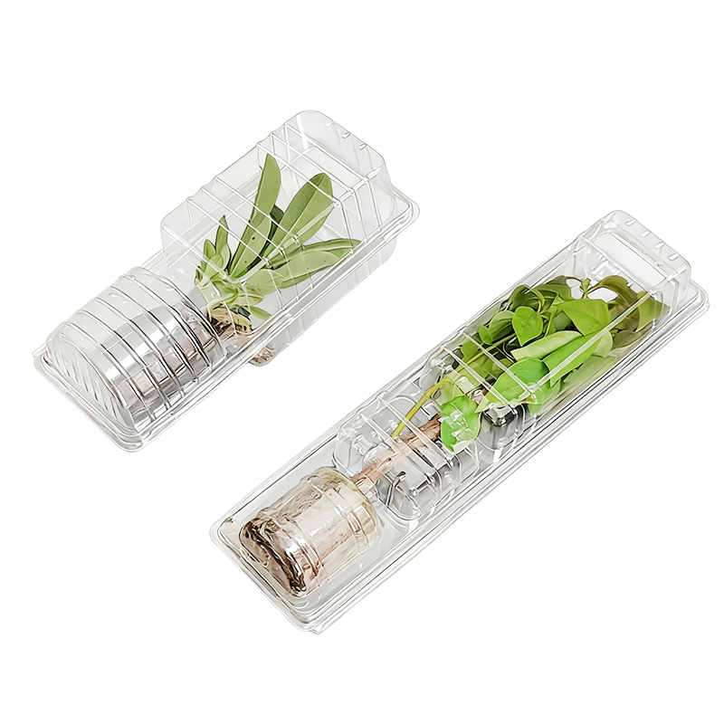 Plant Flower Seedlings Blister Packaging Box