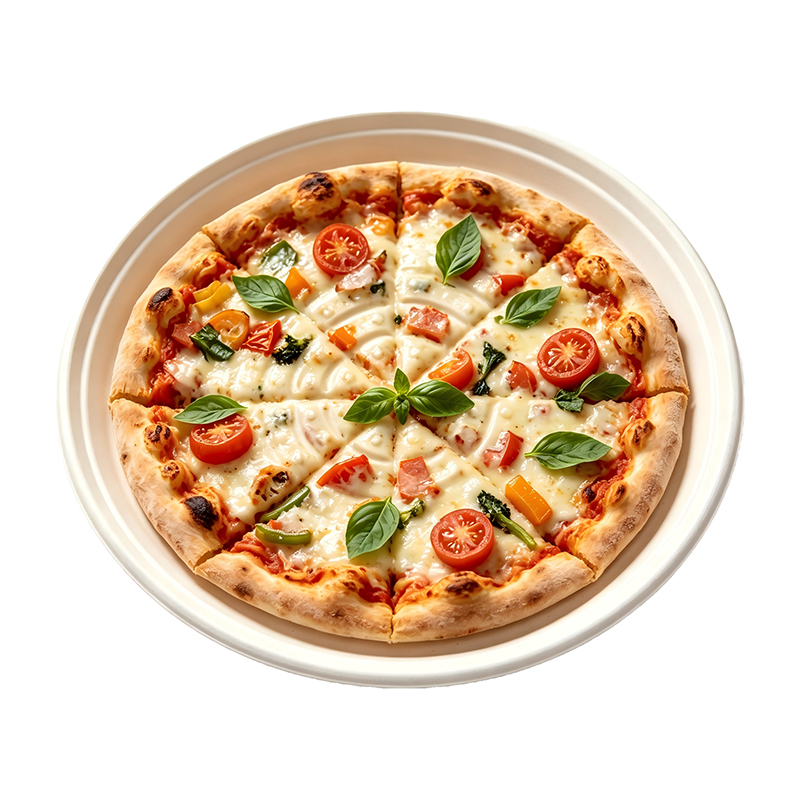 Wholesale Sugarcane Fiber Pizza Plates