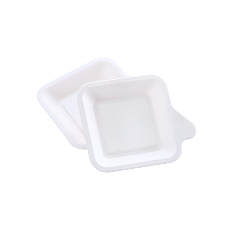 Factory Custom Bagasse Dinner Plates