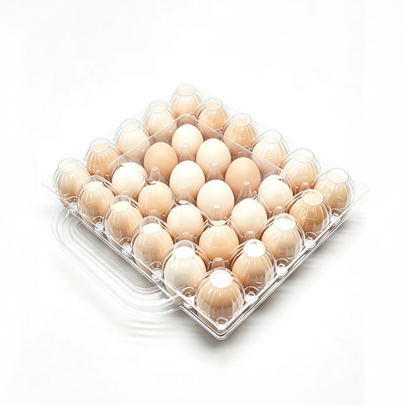 Portable Clear Plastic Egg Tray with Handle
