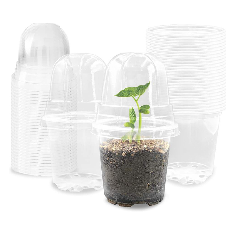 Wholesale Transparent Plastic Seedling Planter