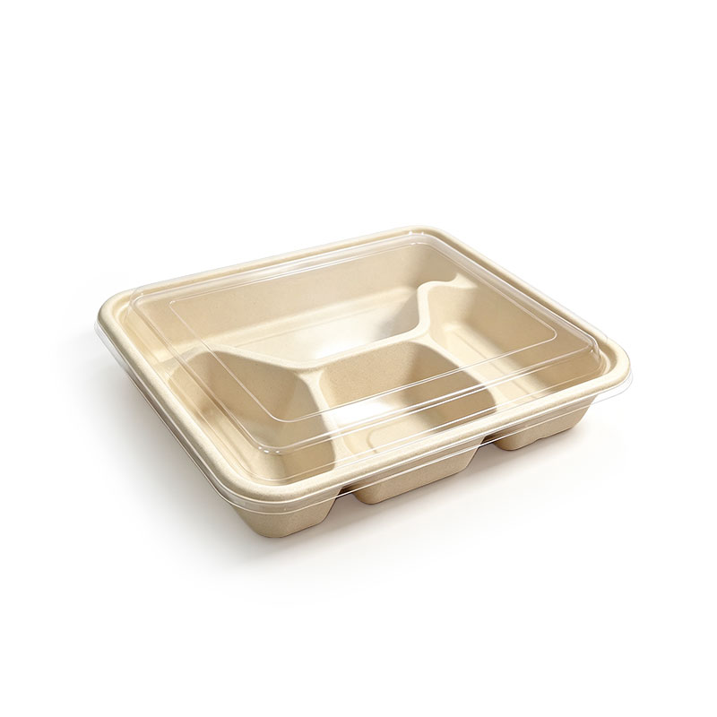 Compostable Bagasse Food Tray