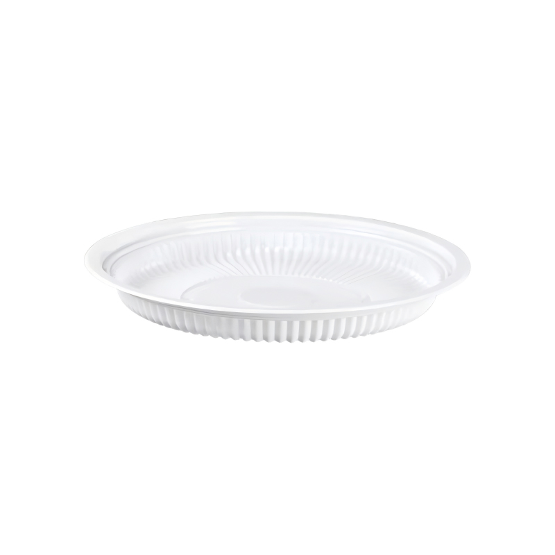 Clear Plastic Picnic Plate