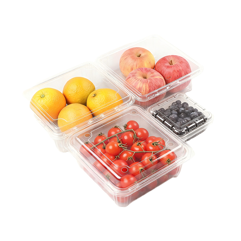 Plastic Fruit Trays Wholesale