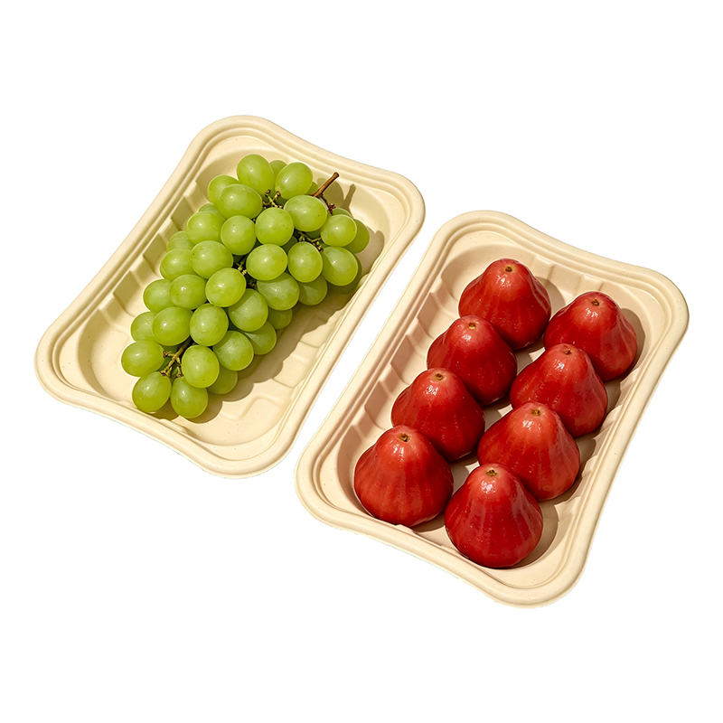 Wholesale Bamboo Pulp Fresh Tray