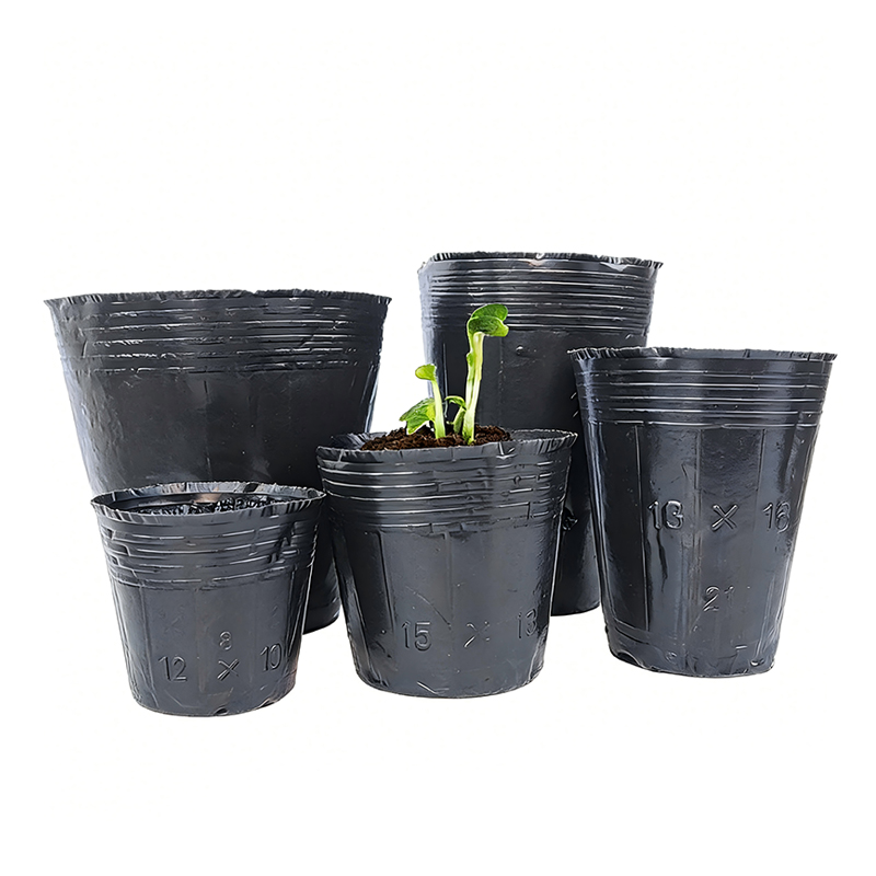 Custom Plastic Plant Pot with Blister Tray