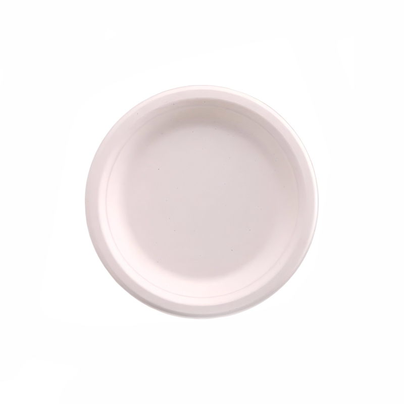 Factory Custom Bagasse Dinner Plates