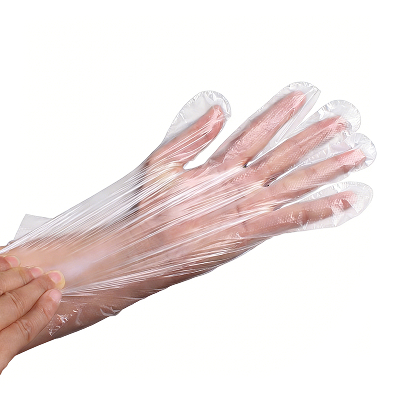 Clear Disposable Food Handling Gloves