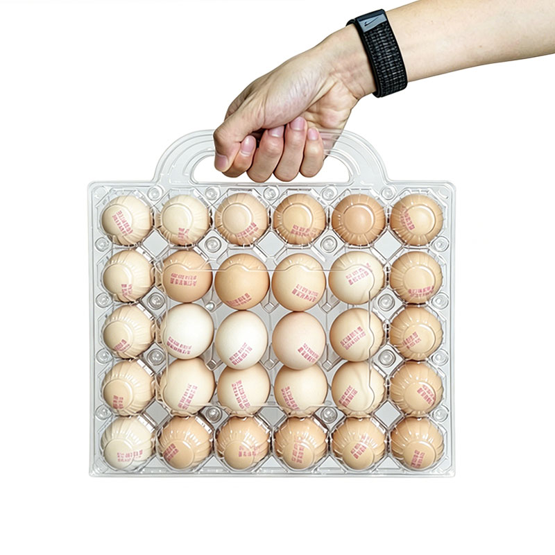Portable Clear Plastic Egg Tray with Handle