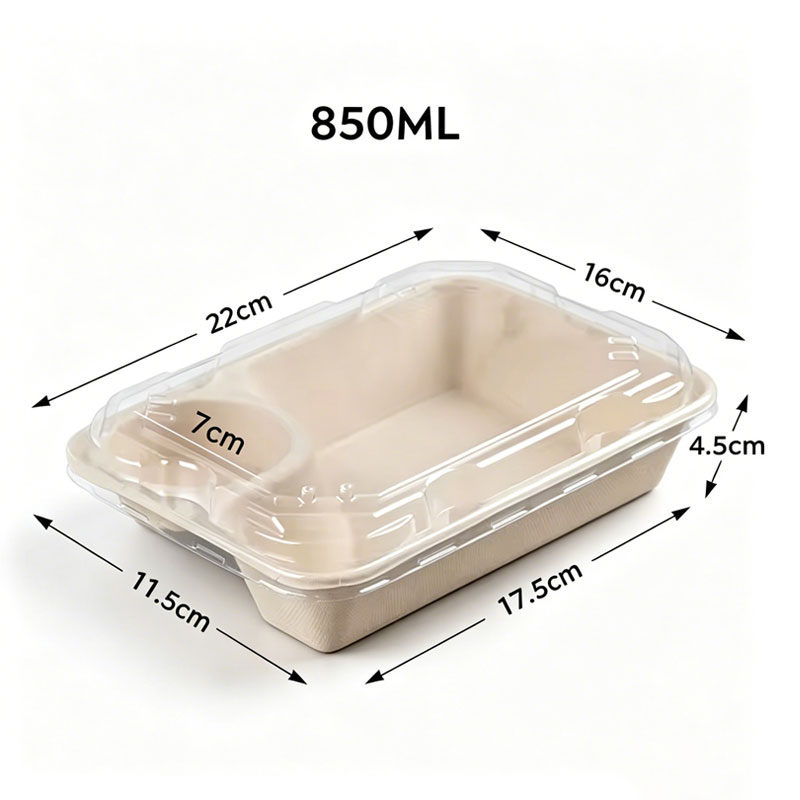 Custom 2 Compartment Bamboo Pulp Container