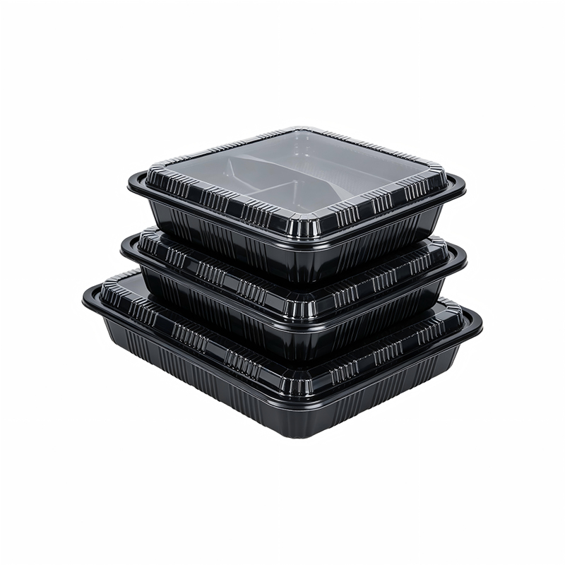 Microwaveable Railway Bento Box 