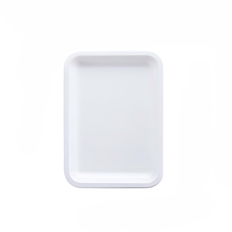 Factory Custom Bagasse Dinner Plates