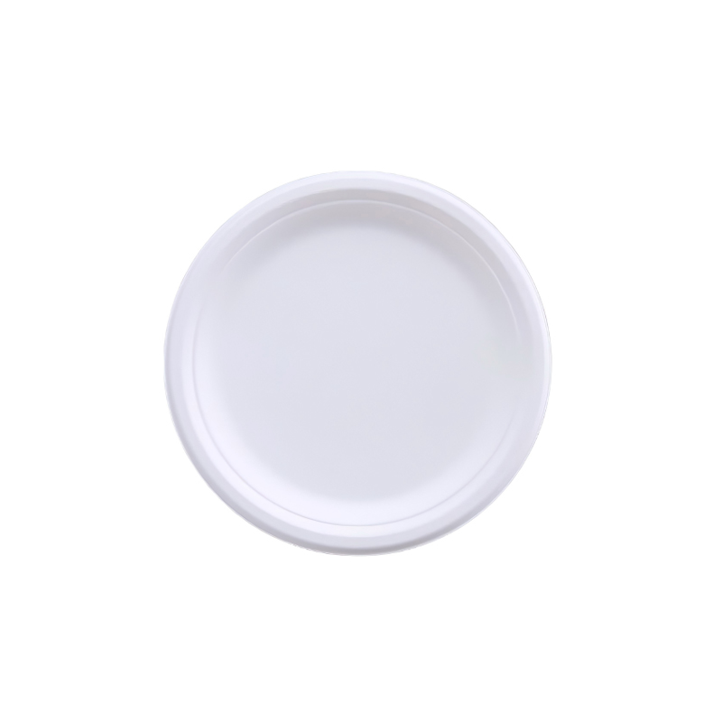 Factory Custom Bagasse Dinner Plates