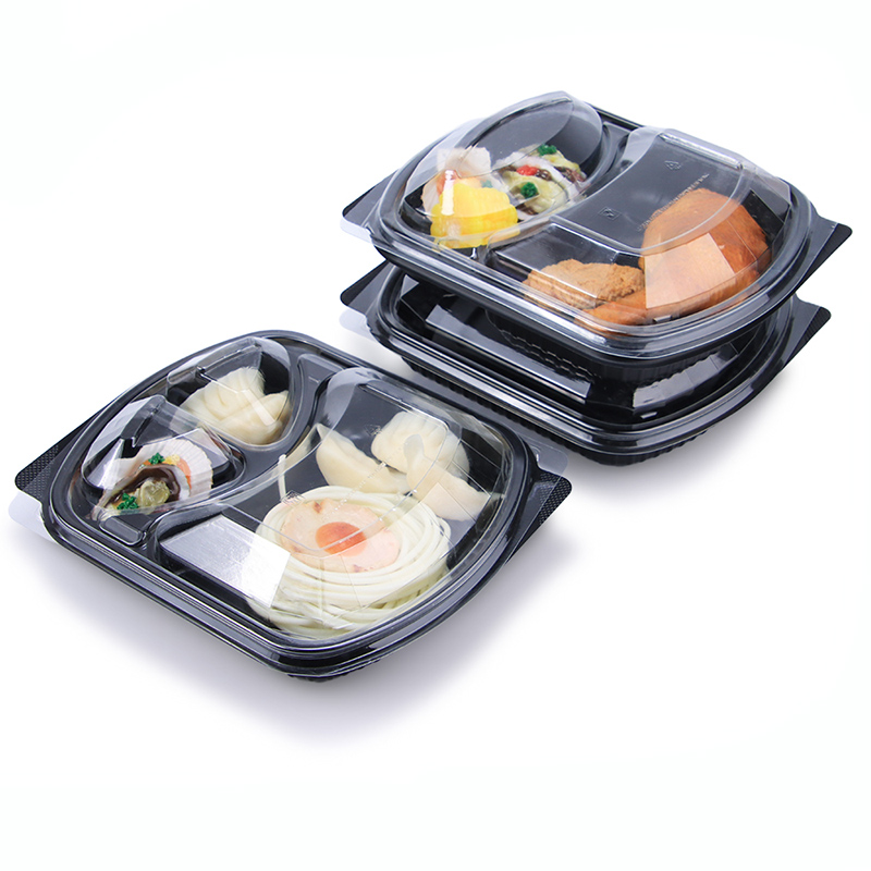 Takeout Lunch Box Blister Packaging