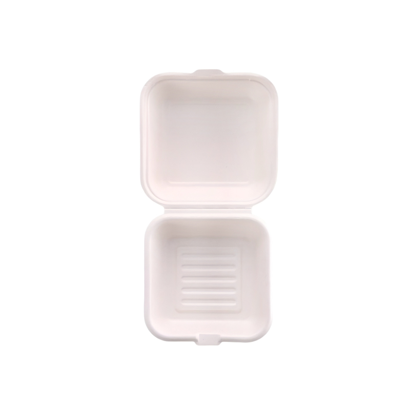 Factory Custom Bagasse Dinner Plates