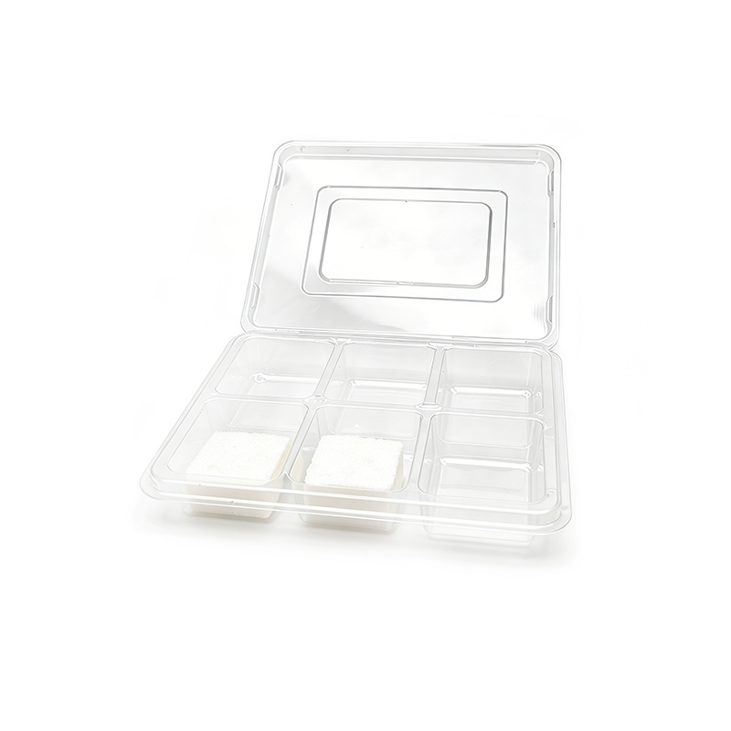 Custom Clear Compartment Clamshell Manufacturer