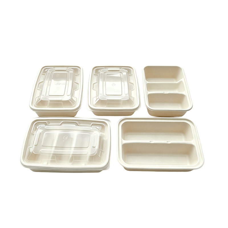 Eco-friendly 5 Compartment Taco Container