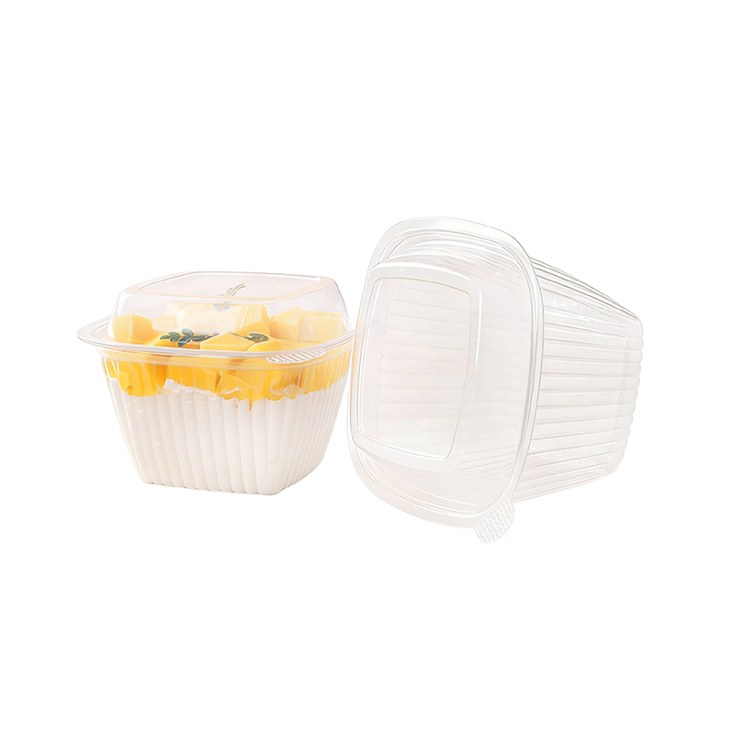 Single Cupcake Container with Square Dome
