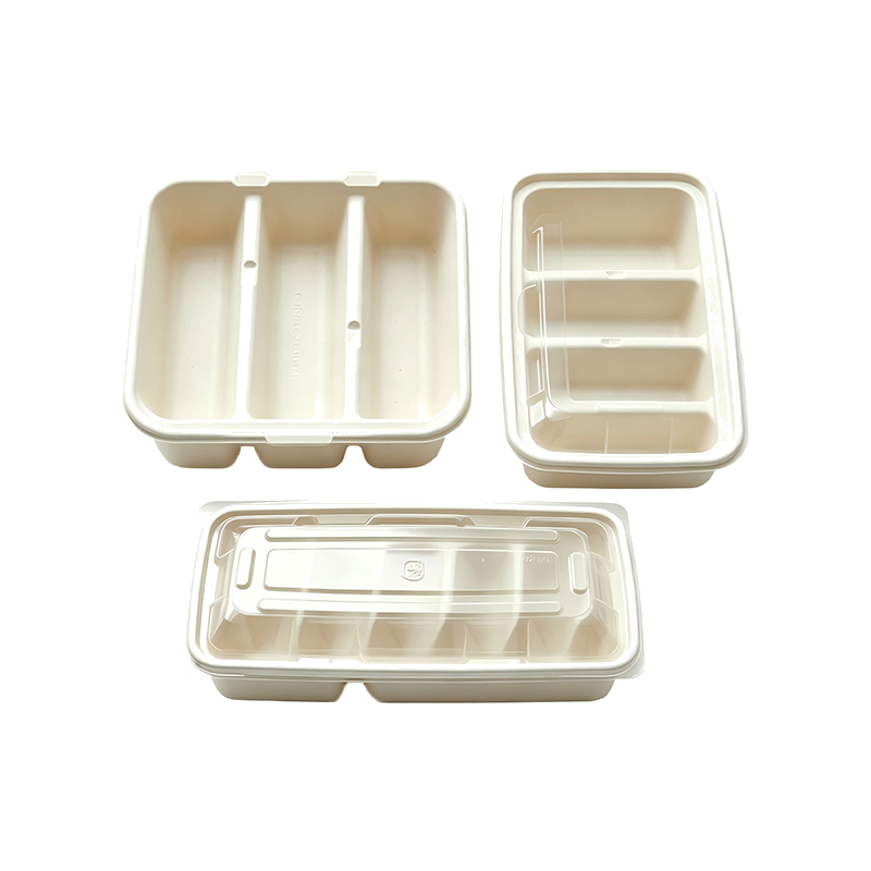 Eco-friendly 5 Compartment Taco Container