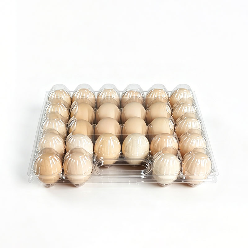Portable Clear Plastic Egg Tray with Handle