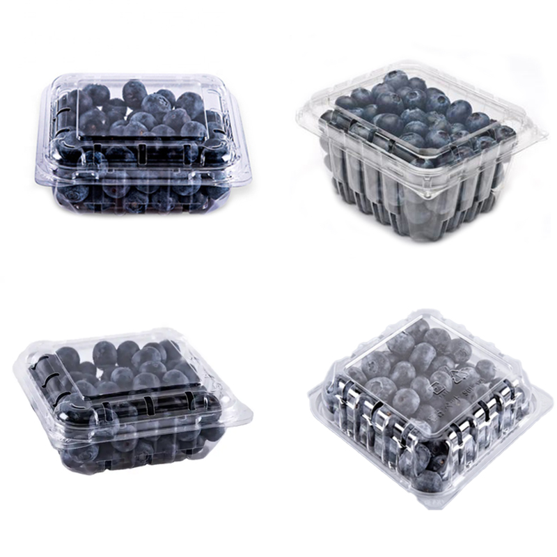 Blueberry Plastic Clamshell Packing Box
