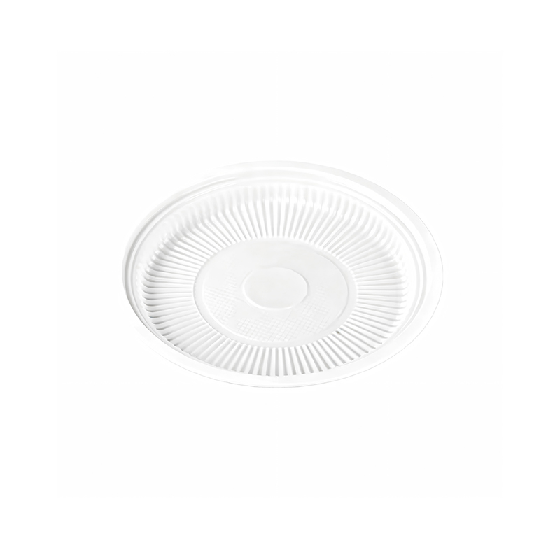 Clear Plastic Picnic Plate