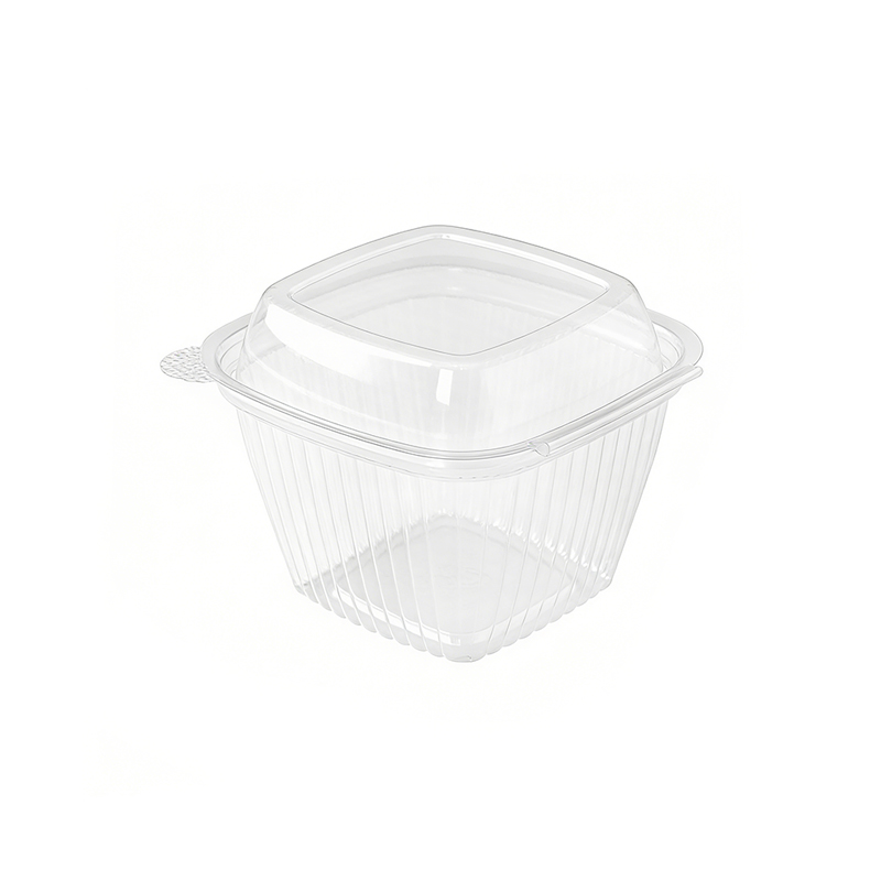 Single Cupcake Container with Square Dome