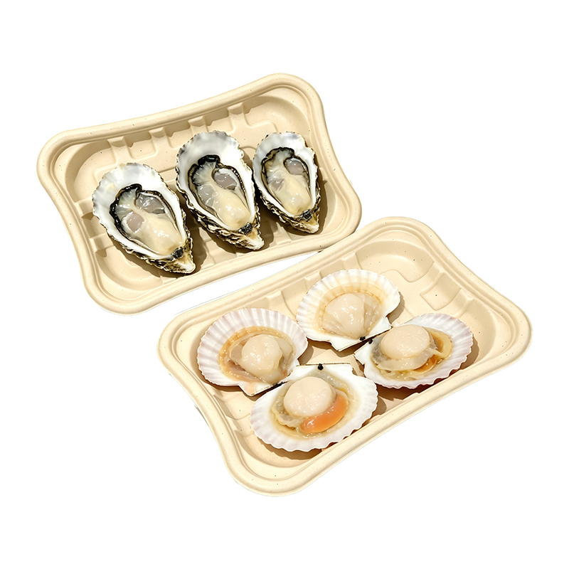 Wholesale Bamboo Pulp Fresh Tray