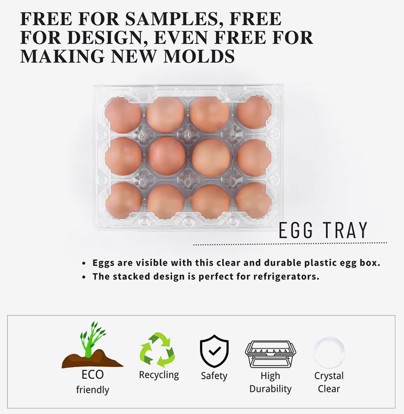 Wholesale Disposable Plastic Transparent Egg Tray