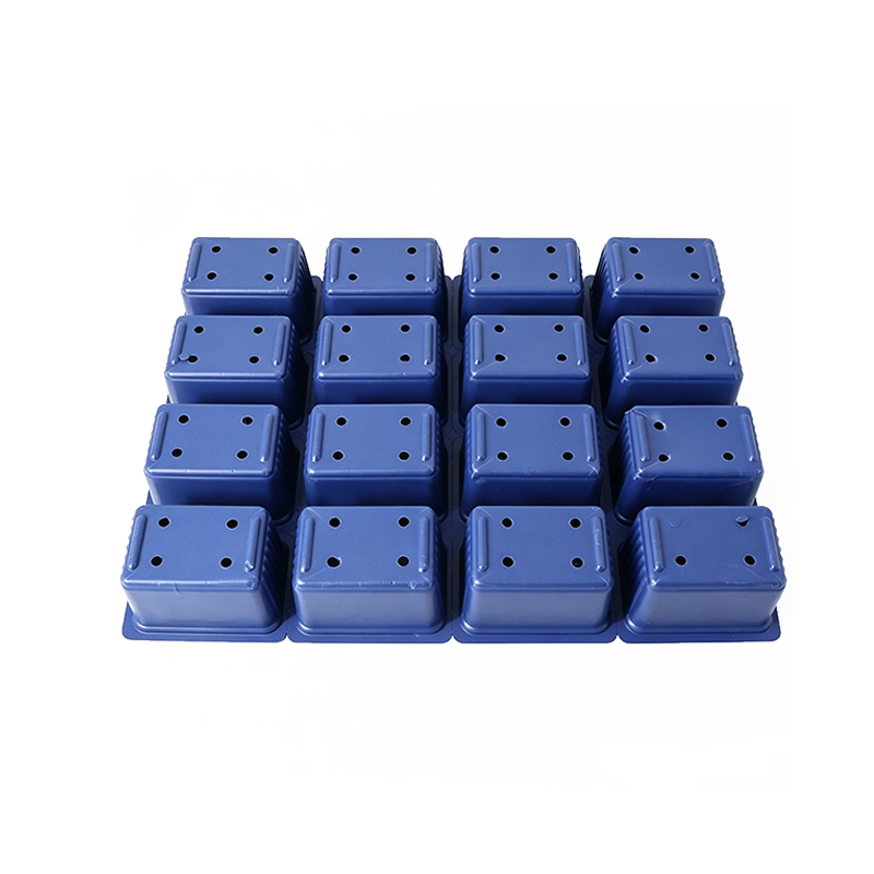 Custom Nursery Plant Seeding Tray Supplier