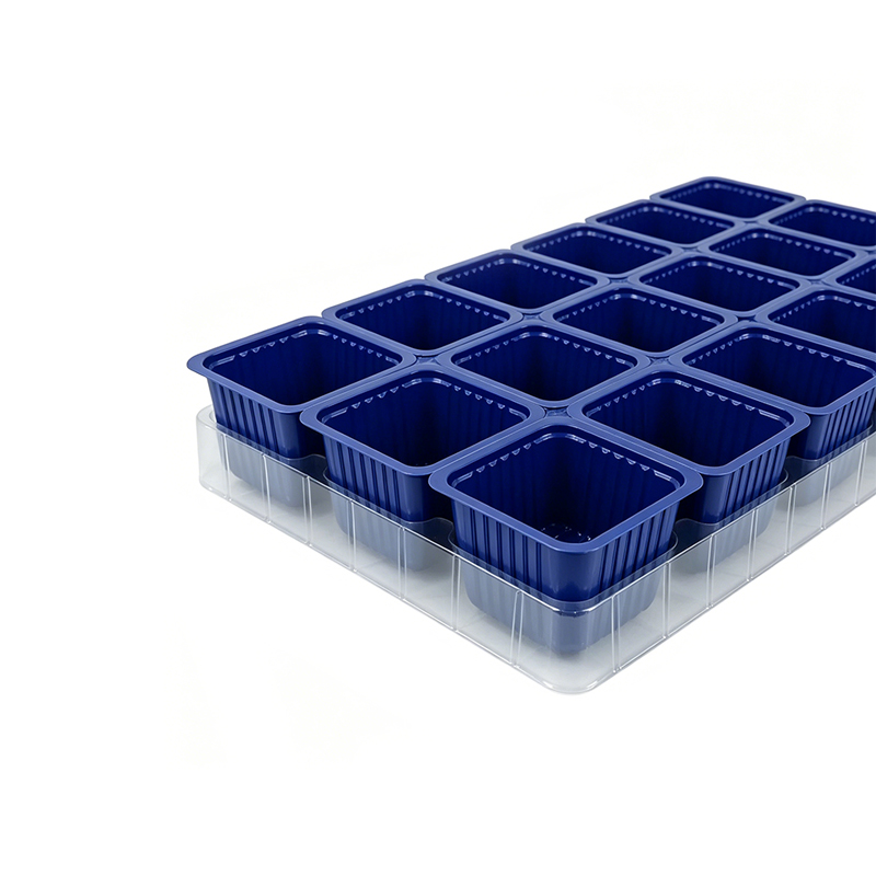 Custom Nursery Plant Seeding Tray Supplier