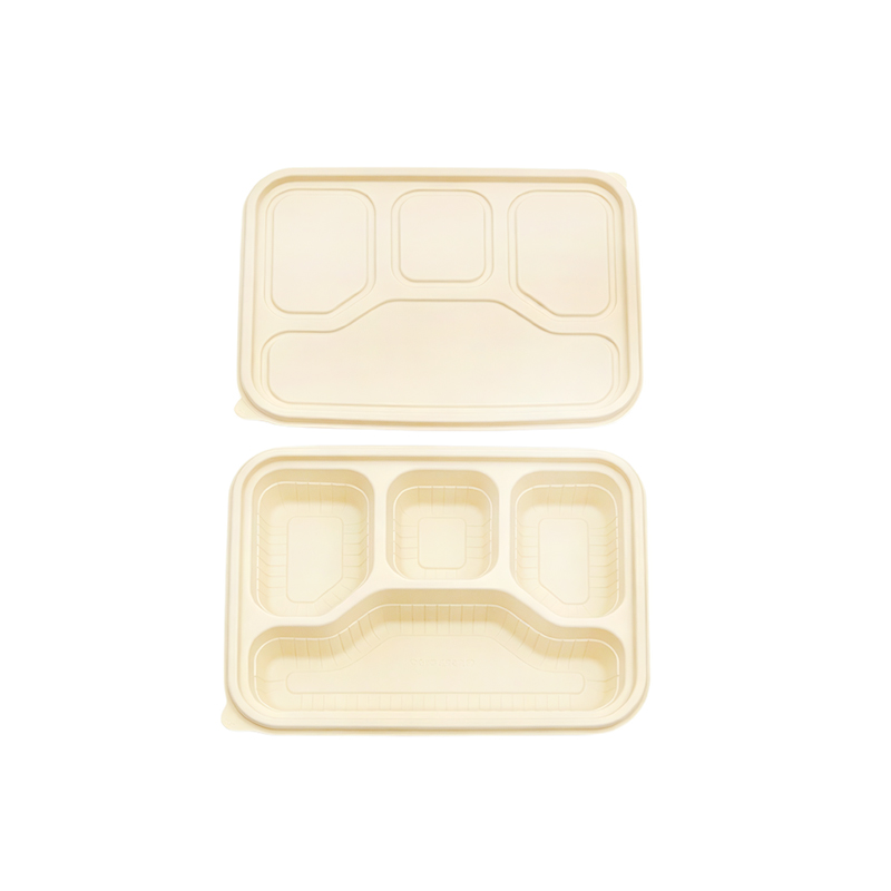 Cornstarch Bento Box with 4 Divisions